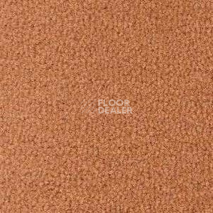 Ковролин Radici Forum Ambra 2102 фото 1 | FLOORDEALER